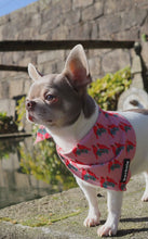 Load image into Gallery viewer, Bandana - Santa Fe