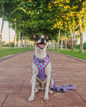 Load image into Gallery viewer, Adjustable Harness - Huelva