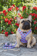 Load image into Gallery viewer, Harness Bundle 3 Accessories - Huelva