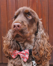 Load image into Gallery viewer, Bow Tie - Santa Fe