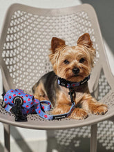 Load image into Gallery viewer, Collar Bundle 3 Accessories - Huelva