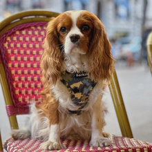 Load image into Gallery viewer, Adjustable Harness - Bangkok