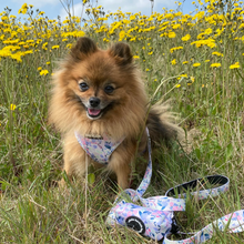 Load image into Gallery viewer, Total Look Bundle 6 Accessories - Kyoto