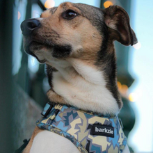 Load image into Gallery viewer, Adjustable Harness - Bangkok