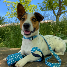 Load image into Gallery viewer, Total Look Bundle 6 Accessories - Nice