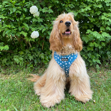 Load image into Gallery viewer, Total Look Bundle 6 Accessories - Nice