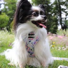 Load image into Gallery viewer, Total Look Bundle 6 Accessories - Kyoto