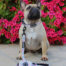 Load image into Gallery viewer, Total Look Bundle 6 Accessories - Kyoto