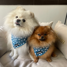 Load image into Gallery viewer, Total Look Bundle 6 Accessories - Nice