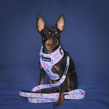 Load image into Gallery viewer, Total Look Bundle 6 Accessories - Kyoto