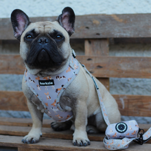 Load image into Gallery viewer, Harness Bundle 3 Accessories - Toronto