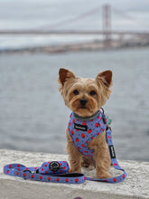 Load image into Gallery viewer, Harness Bundle 3 Accessories - Huelva