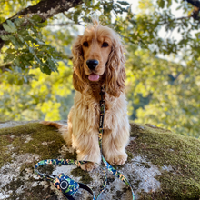 Load image into Gallery viewer, Collar Bundle 3 Accessories - Bogota