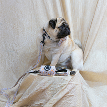 Load image into Gallery viewer, Total Look Bundle 6 Accessories - Toronto