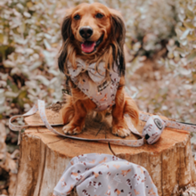 Load image into Gallery viewer, Total Look Bundle 6 Accessories - Toronto