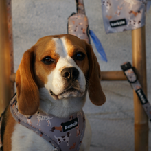 Load image into Gallery viewer, Total Look Bundle 6 Accessories - Toronto