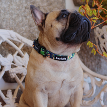 Load image into Gallery viewer, Collar Bundle 3 Accessories - Bogota