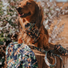 Load image into Gallery viewer, Total Look Bundle 6 Accessories - Bogota