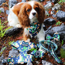 Load image into Gallery viewer, Total Look Bundle 6 Accessories - Bogota