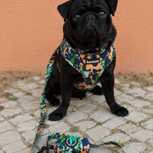 Load image into Gallery viewer, Harness Bundle 3 Accessories - Bogota