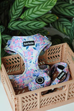 Load image into Gallery viewer, Harness Bundle 3 Accessories - Kyoto