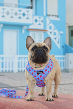 Load image into Gallery viewer, Harness Bundle 3 Accessories - Huelva