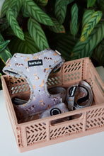 Load image into Gallery viewer, Harness Bundle 3 Accessories - Toronto