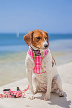Load image into Gallery viewer, Harness Bundle 3 Accessories - Santa Monica
