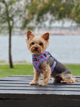 Load image into Gallery viewer, Adjustable Harness - Huelva