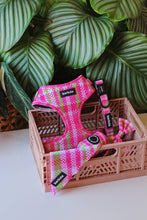 Load image into Gallery viewer, Total Look Bundle 6 Accessories - Santa Monica