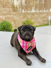 Load image into Gallery viewer, Bandana - Santa Monica