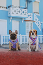 Load image into Gallery viewer, Adjustable Harness - Huelva