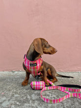 Load image into Gallery viewer, Harness Bundle 3 Accessories - Santa Monica