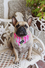 Load image into Gallery viewer, Bandana - Santa Monica