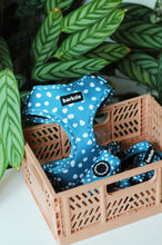 Load image into Gallery viewer, Harness Bundle 3 Accessories - Nice