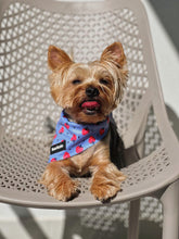 Load image into Gallery viewer, Bandana - Huelva