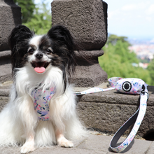 Load image into Gallery viewer, Harness Bundle 3 Accessories - Kyoto