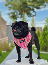 Load image into Gallery viewer, Adjustable Harness - Santa Monica