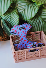 Load image into Gallery viewer, Harness Bundle 3 Accessories - Huelva