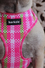 Load image into Gallery viewer, Adjustable Harness - Santa Monica