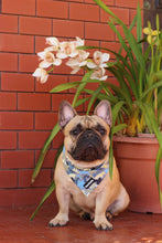 Load image into Gallery viewer, Bandana - Bangkok