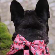 Load image into Gallery viewer, Bow Tie - Santa Fe