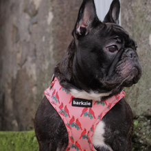 Load image into Gallery viewer, Adjustable Harness - Santa Fe