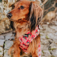 Load image into Gallery viewer, Adjustable Harness - Santa Fe