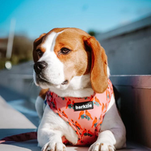 Load image into Gallery viewer, Adjustable Harness - Santa Fe