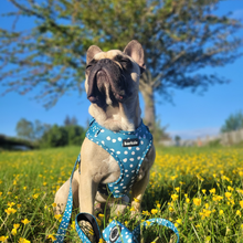 Load image into Gallery viewer, Harness Bundle 3 Accessories - Nice