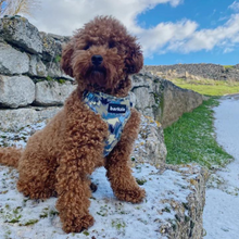 Load image into Gallery viewer, Adjustable Harness - Bangkok