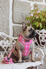 Load image into Gallery viewer, Harness Bundle 3 Accessories - Santa Monica