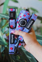 Load image into Gallery viewer, Collar Bundle 3 Accessories - Huelva