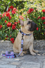 Load image into Gallery viewer, Collar Bundle 3 Accessories - Huelva